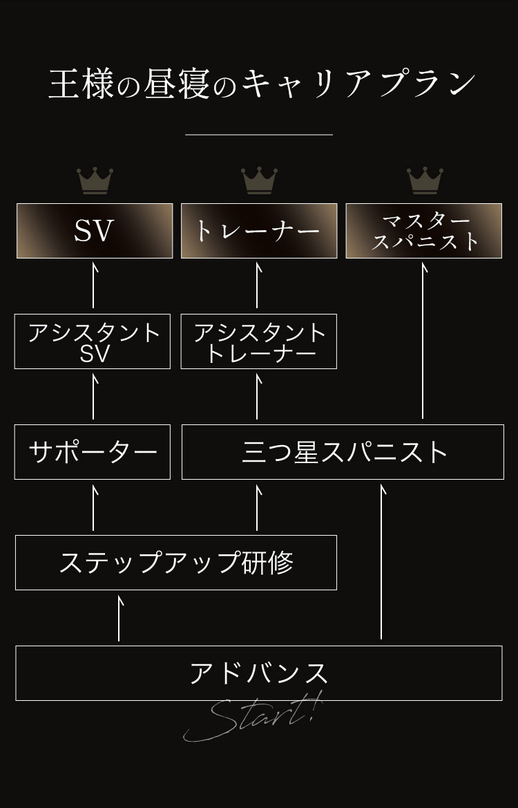 王様の昼寝のキャリアプラン